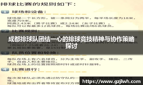 成都排球队团结一心的排球竞技精神与协作策略探讨